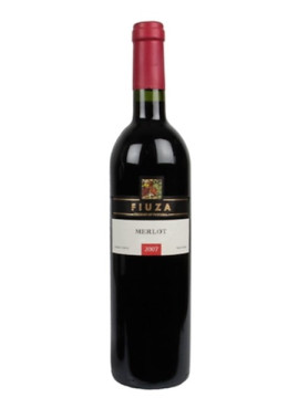 Fiuza Merlot Tinto 2007